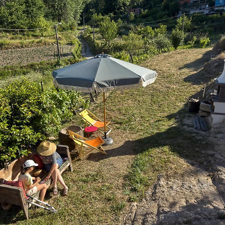 Quinta Da Peca Douro Vinhateiro Vila Real Eksteriør billede