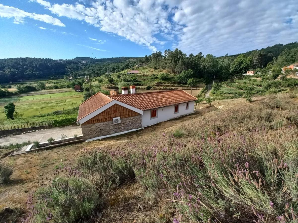 Quinta Da Peca Douro Vinhateiro Vila Real Eksteriør billede