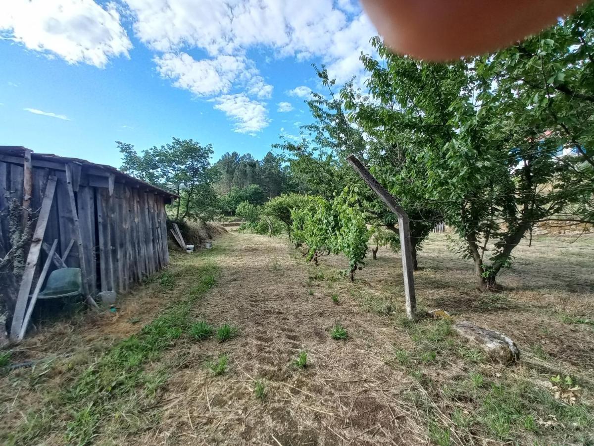 Quinta Da Peca Douro Vinhateiro Vila Real Eksteriør billede