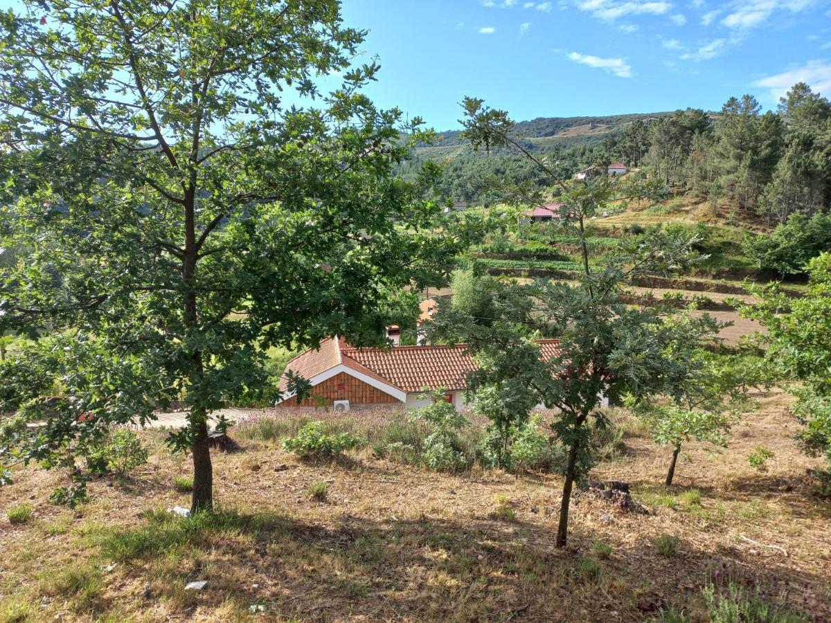 Quinta Da Peca Douro Vinhateiro Vila Real Eksteriør billede
