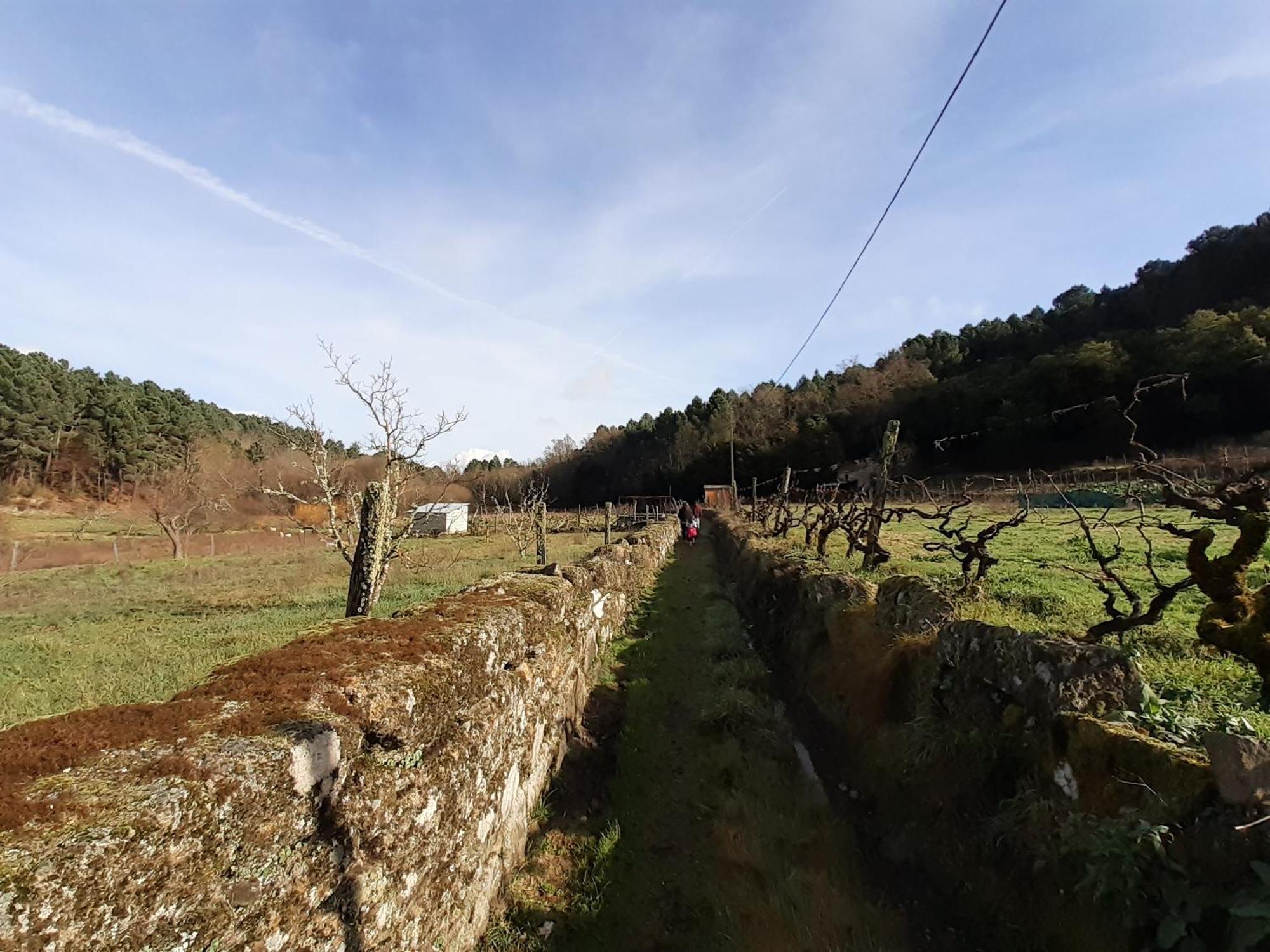 Quinta Da Peca Douro Vinhateiro Vila Real Eksteriør billede